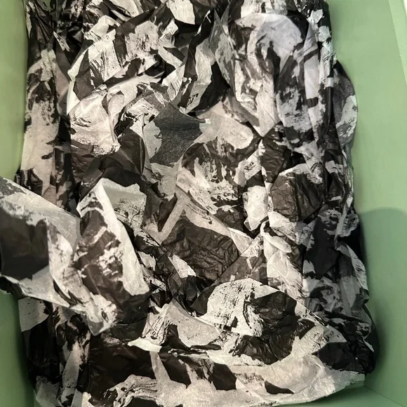 Rare Green Off-White Shoebox Tissue Paper AND Logo Dust Bag - Picture 10 of 13